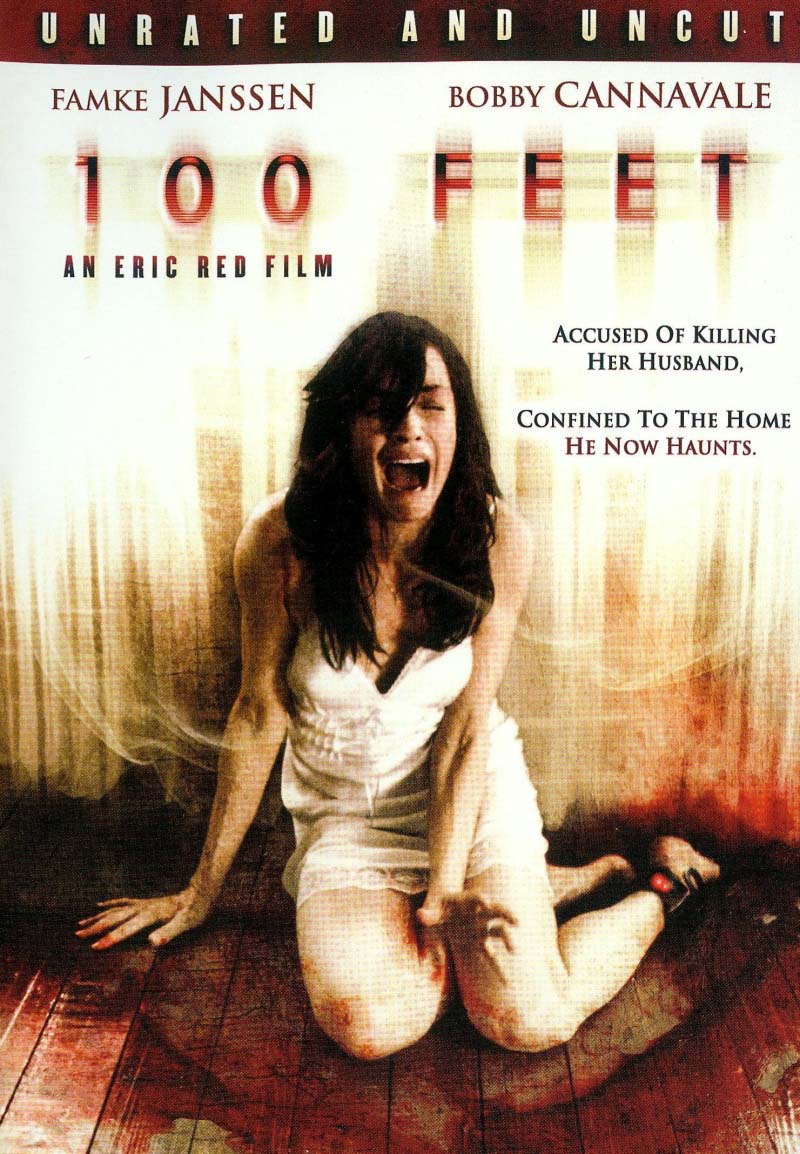 100 футов (2008/HDRip)