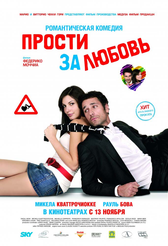 Прости за любовь (2008/HDRip)